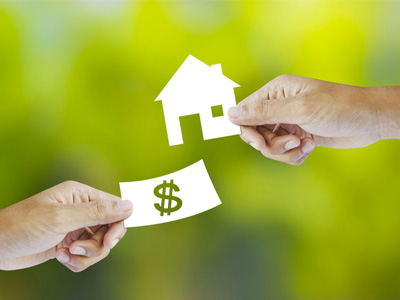 image of Pogo Loans